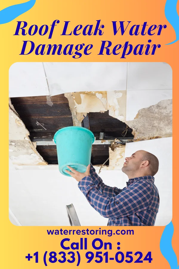 Roof Leak Water Damage Repair in Santee, CA